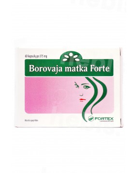 Borovaja matka (Vienašalė užgina) forte, 60 kapsulių
