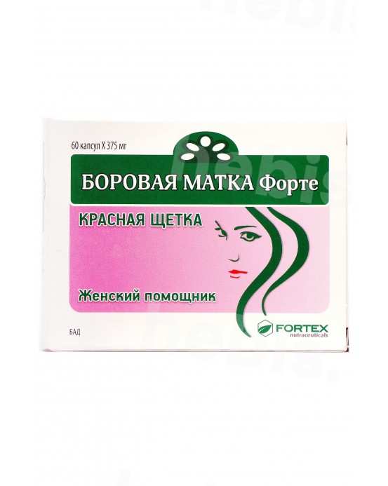 Borovaja matka (Vienašalė užgina) forte, 60 kapsulių